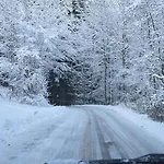 Ferienwohnung-edna-traunkirchen Traunkirchen