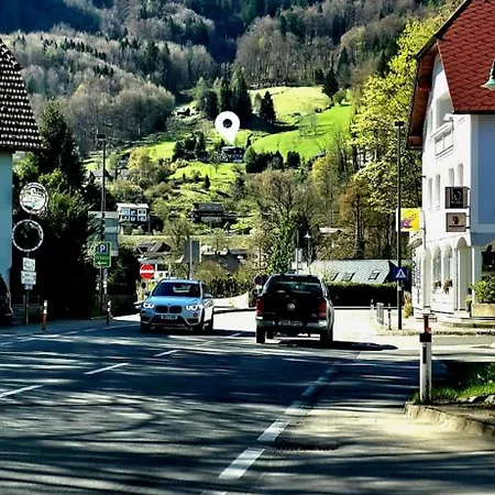 Ferienwohnung-edna-traunkirchen Apartamento *