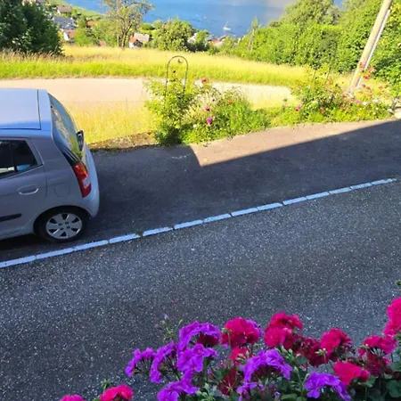 Ferienwohnung-edna-traunkirchen Apartmán Traunkirchen