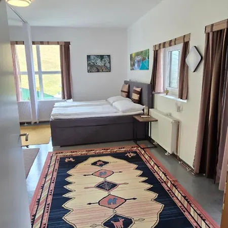 Ferienwohnung-edna-traunkirchen Apartmán