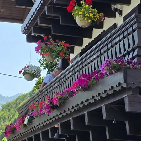 Ferienwohnung-edna-traunkirchen Lejlighed