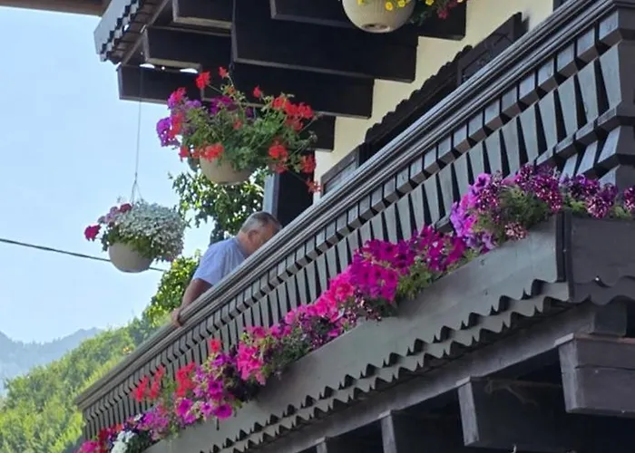 Ferienwohnung-edna-traunkirchen Lejlighed