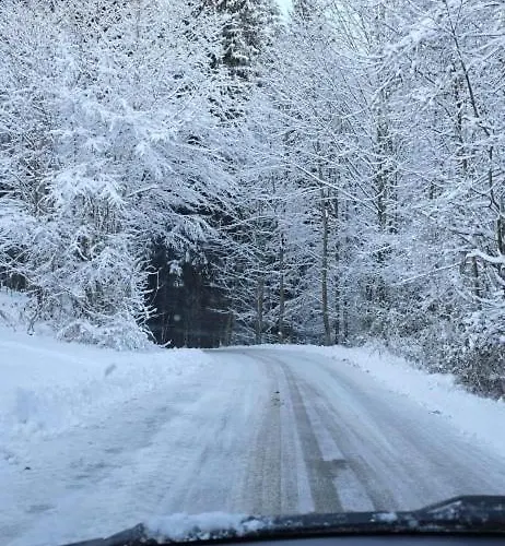 Ferienwohnung-edna-traunkirchen Traunkirchen